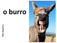 O burro